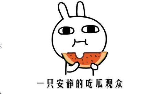 吃瓜事件网红,揭秘吃瓜网红背后的故事 第1张 吃瓜事件网红,揭秘吃瓜网红背后的故事 第1张