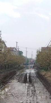 赵县爆料最新,揭秘当地最新热点事件！  第1张