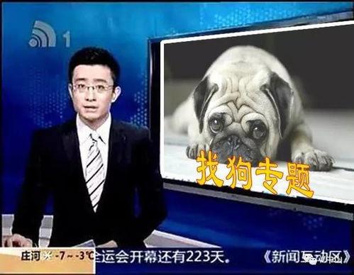 呼死狗今日爆料,揭秘网络骚扰黑幕  第2张